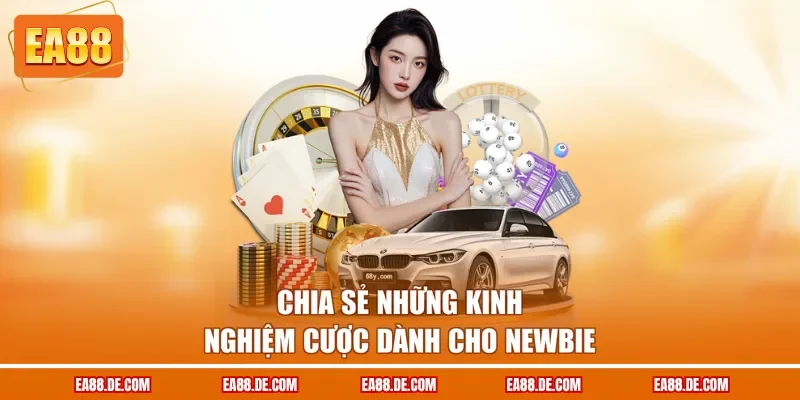 Chia sẻ những kinh nghiệm cược dành cho newbie