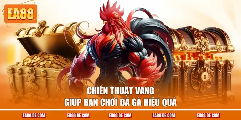 Chiến thuật vàng giúp bạn chơi đá gà hiệu quả