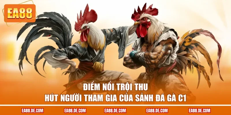 Điểm nổi trội thu hút người tham gia của sảnh đá gà C1