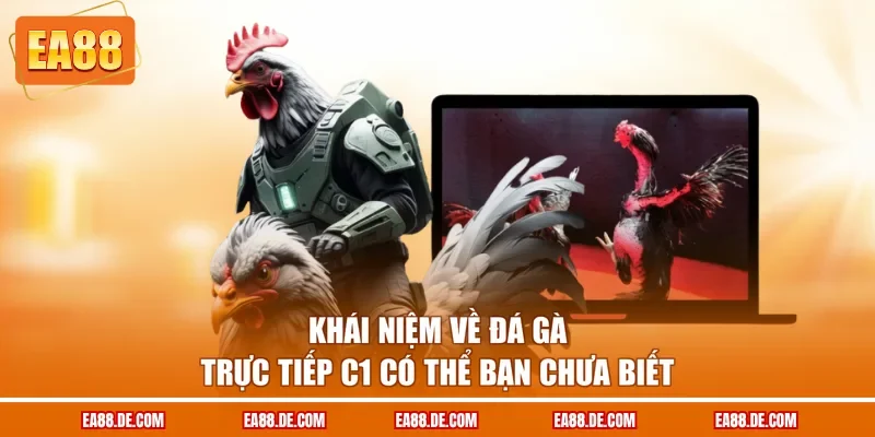 Khái niệm về đá gà trực tiếp C1 có thể bạn chưa biết