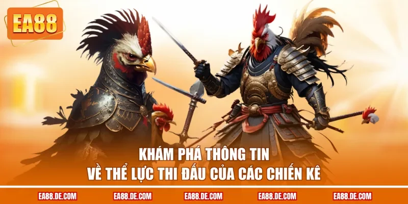 Khám phá thông tin về thể lực thi đấu của các chiến kê