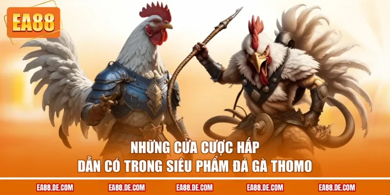 Những cửa cược hấp dẫn có trong siêu phẩm đá gà Thomo